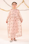 2 Piece Embroidered Organza Suit