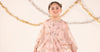 2 Piece Embroidered Organza Suit