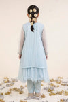 2 Piece Embroidered Organza Suit