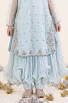 2 Piece Embroidered Organza Suit