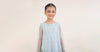 2 Piece Embroidered Organza Suit
