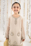 3 Piece Embroidered Organza Suit