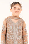 3 Piece Embroidered Organza Suit