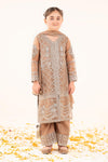 3 Piece Embroidered Organza Suit