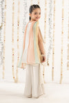 3 Piece Embroidered Chiffon Suit
