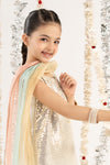 3 Piece Embroidered Chiffon Suit