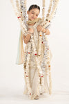 3 Piece Embroidered Chiffon Suit
