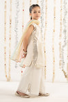 3 Piece Embroidered Chiffon Suit