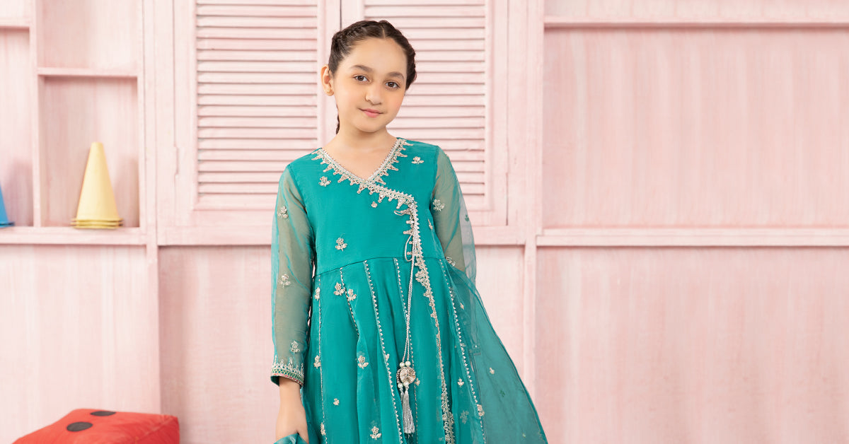 3 Piece Embroidered Organza Suit