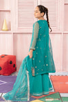 3 Piece Embroidered Organza Suit