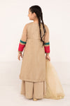 3 Piece Embroidered Zari Net Suit