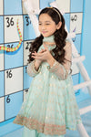 3 Piece Embroidered Organza Suit