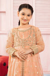 3 Piece Embroidered Organza Suit