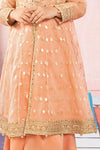 3 Piece Embroidered Organza Suit