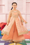 3 Piece Embroidered Organza Suit