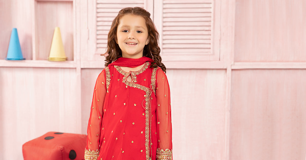 3 Piece Embroidered Net Suit