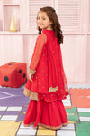 3 Piece Embroidered Net Suit
