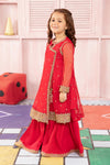 3 Piece Embroidered Net Suit