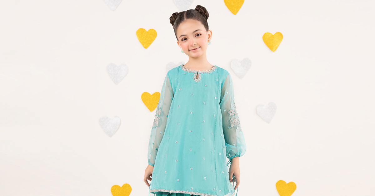 2 Piece Embroidered Organza Suit