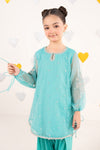 2 Piece Embroidered Organza Suit