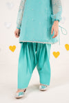 2 Piece Embroidered Organza Suit