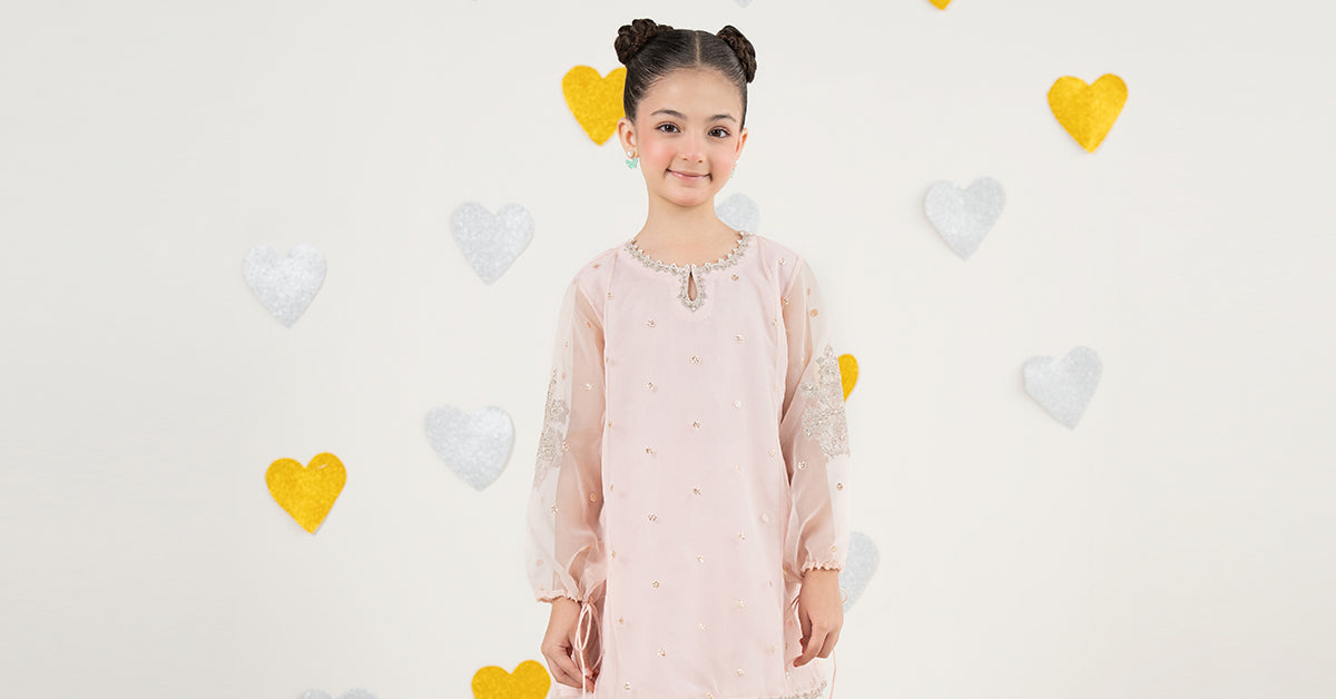 2 Piece Embroidered Organza Suit