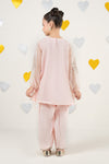 2 Piece Embroidered Organza Suit