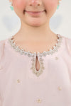 2 Piece Embroidered Organza Suit