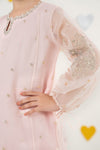 2 Piece Embroidered Organza Suit
