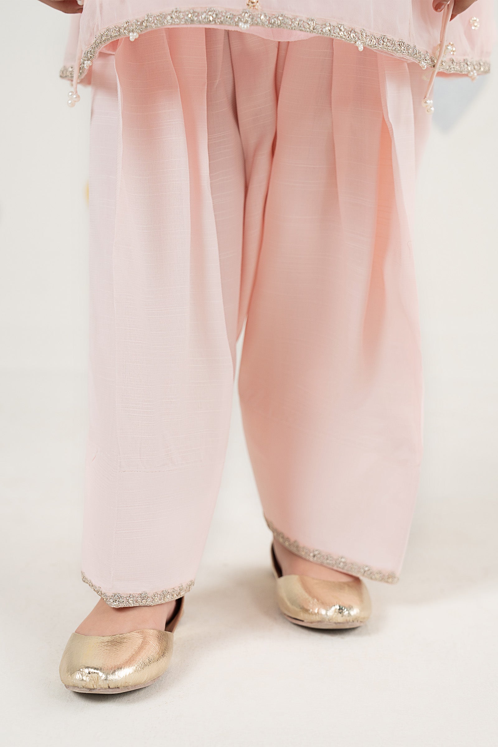 2 Piece Embroidered Organza Suit