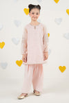 2 Piece Embroidered Organza Suit