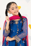 3 Piece Embroidered Organza Suit