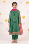 3 Piece Embroidered Organza Suit