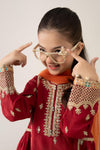 3 Piece Embroidered PK Raw Silk Suit