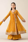 3 Piece Embroidered Poly Net Suit