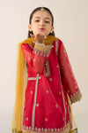3 Piece Embroidered Poly Organza Suit