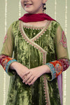 3 Piece Embroidered Velvet Suit