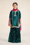 3 Piece Embroidered Velvet Suit