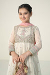 3 Piece Embroidered Net Suit