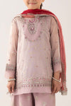 3 Piece Embroidered Zari Net Suit