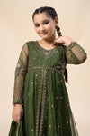 3 Piece Embroidered Net Suit