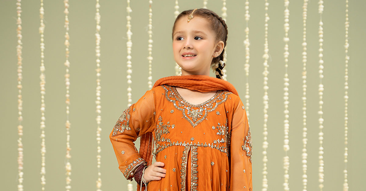 3 Piece Embroidered Net Suit