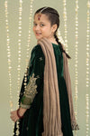 3 Piece Embroidered Velvet Suit