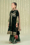 3 Piece Embroidered Velvet Suit