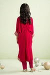 2 Piece Embroidered Velvet Suit