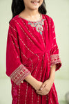 2 Piece Embroidered Velvet Suit