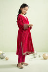 2 Piece Embroidered Velvet Suit