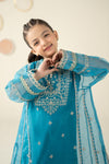 2 Piece Embroidered Organza Suit