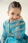 2 Piece Embroidered Organza Suit