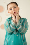 2 Piece Embroidered Organza Suit